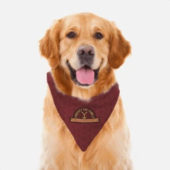 Yellowstone Protect The Family Patch Pet Bandana